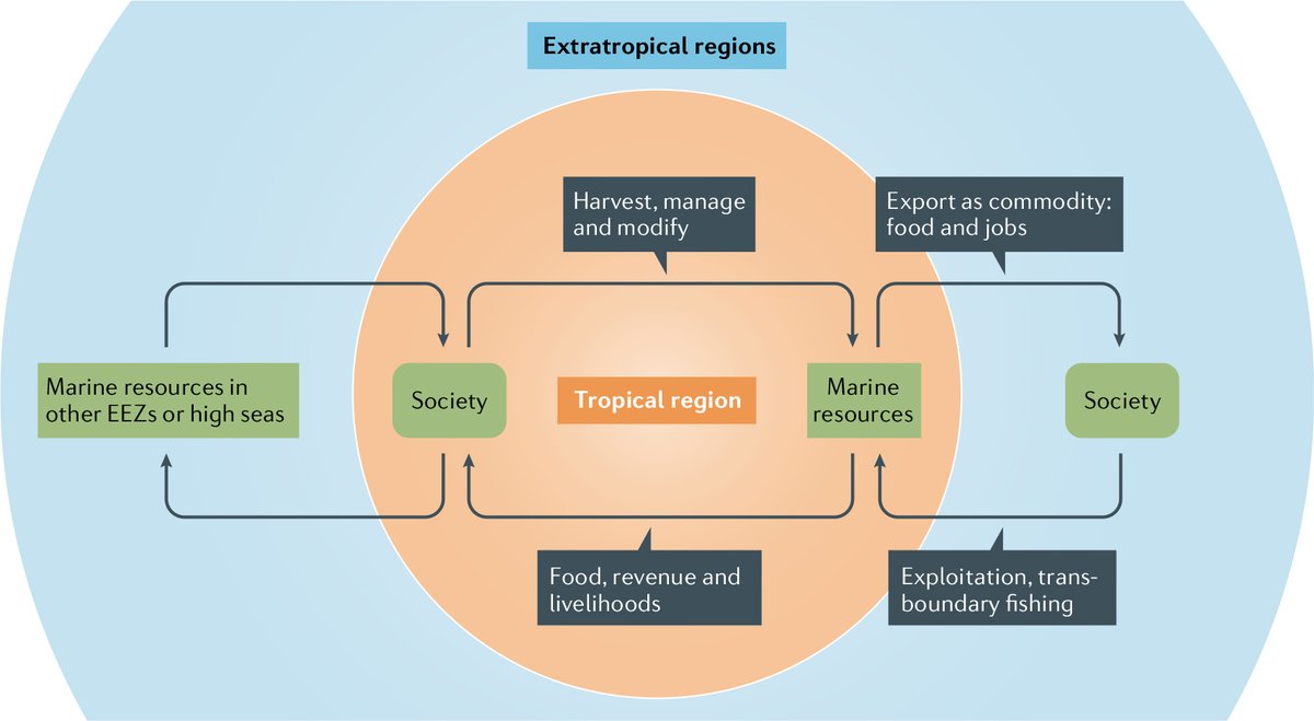 Tropical #fisheries catches are threatened by #climatechange, impacting local economies and communities, as well as regions outside the tropics through ‘telecoupling’ of human-natural systems, such as the #seafood trade.  oceans.ubc.ca/2020/08/06/tro… <a href="/ubcnews/">UBC Media Relations</a> <a href="/coru_ubc/">Changing Ocean Research Unit</a> <a href="/nereusprogram/">Nereus Program</a>