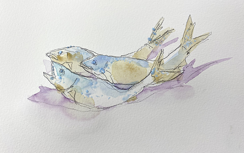 「珍しくマスキングを。だいたいの色を置きます。 #Watercolor #スケッチ」|わへい水彩画@京都水彩画塾塾長のイラスト
