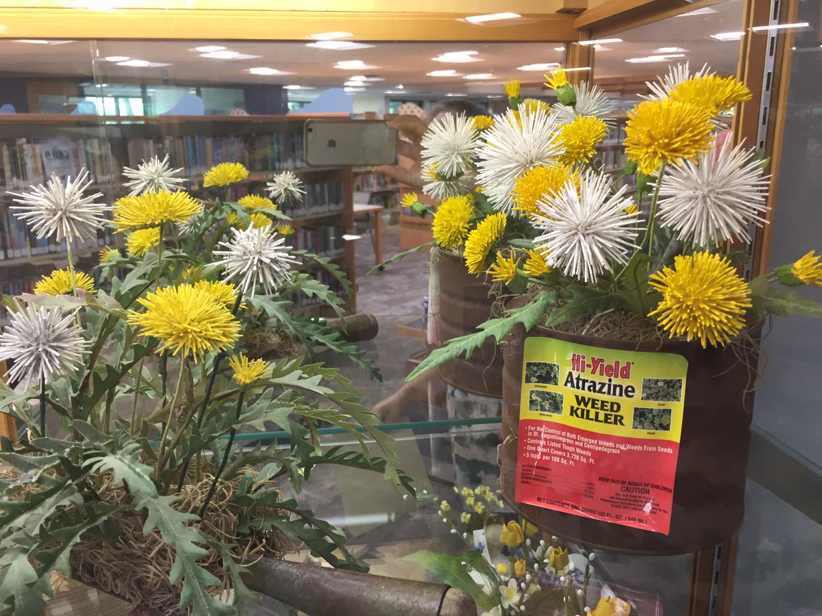 librarysanibel's tweet image. Walling has won numerous blue ribbons and “Best of Show” awards in the annual #Sanibel Shell Festival. #Shellcraft #seashells