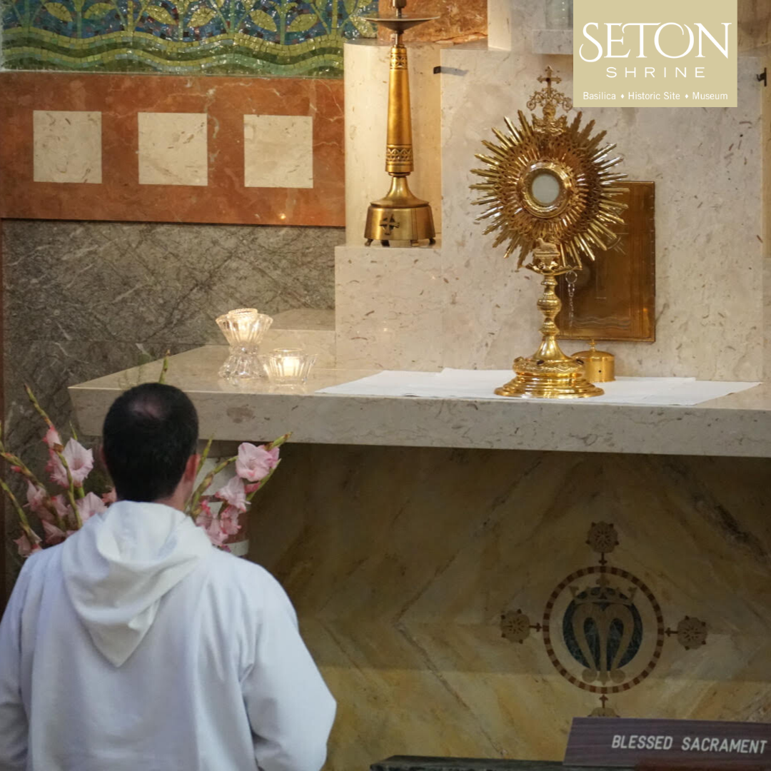 Seton Shrine tweet media