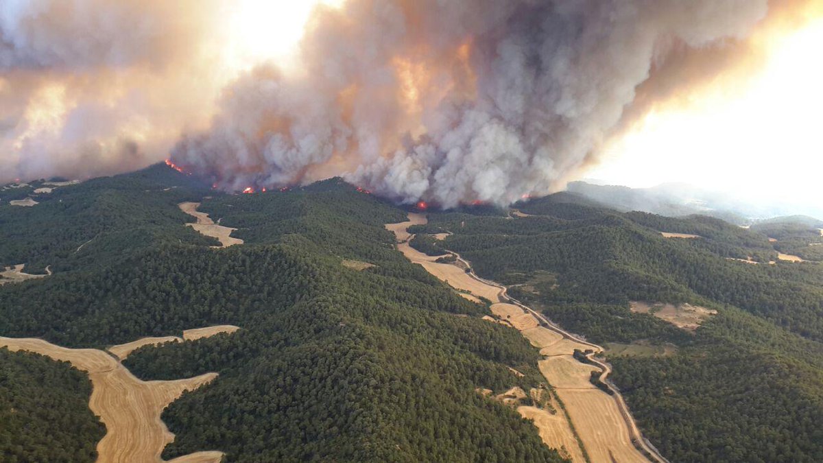 CGT SARGA (@cgtsarga) on Twitter photo #OperativoLowCost Explicamos como se sostiene la Prevención y Extinción de incendios forestales en #Aragón. PRECARIEDAD, permitida y pagada con dinero publico.
<a href="/GobAragon/">Gobierno de Aragón</a> <a href="/joaquinolona/">Joaquín Olona Blasco</a> @Bayona_DBM <a href="/IIFFAragon/">INFOAR</a> #IIFF
Aquí la realidad que no aparece en los medios,
Abrimos hilo👇 #OperativoLowCost Explicamos como se sostiene la Prevención y Extinción de incendios forestales en #Aragón. PRECARIEDAD, permitida y pagada con dinero publico.
<a href="/GobAragon/">Gobierno de Aragón</a> <a href="/joaquinolona/">Joaquín Olona Blasco</a> @Bayona_DBM <a href="/IIFFAragon/">INFOAR</a> #IIFF
Aquí la realidad que no aparece en los medios,
Abrimos hilo👇