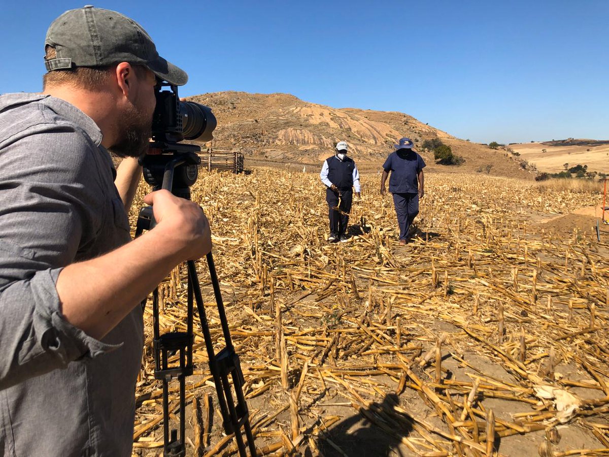 gsafarmerdev's tweet photo. The cameras started rolling this week for our 2020 #DayofCelebration farmers. Celebrating the success of finalist Ndinda Hezekia Mkhonza, in Albert Luthuli, Ermelo with FD Coordinator Jerry Mthombothi 🌽🌽 #SubsistenceFoY #maizefarmer #farmerdevelopment @GrainSA #farmersfeedlife https://t.co/OzAvi9QOKZ