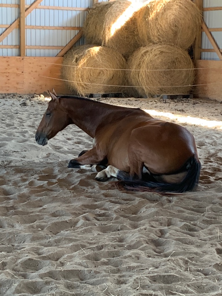 Rest time at Jersey Ridge .