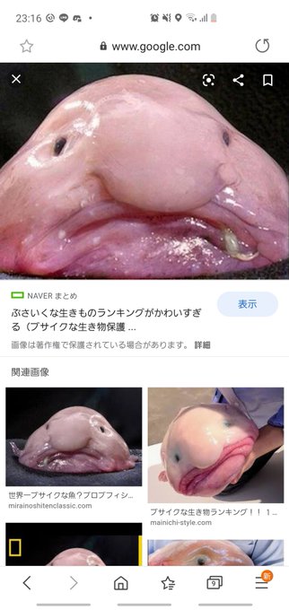 ブロブフィッシュのtwitterイラスト検索結果 ブロブフィッシュのtwitterイラスト検索結果