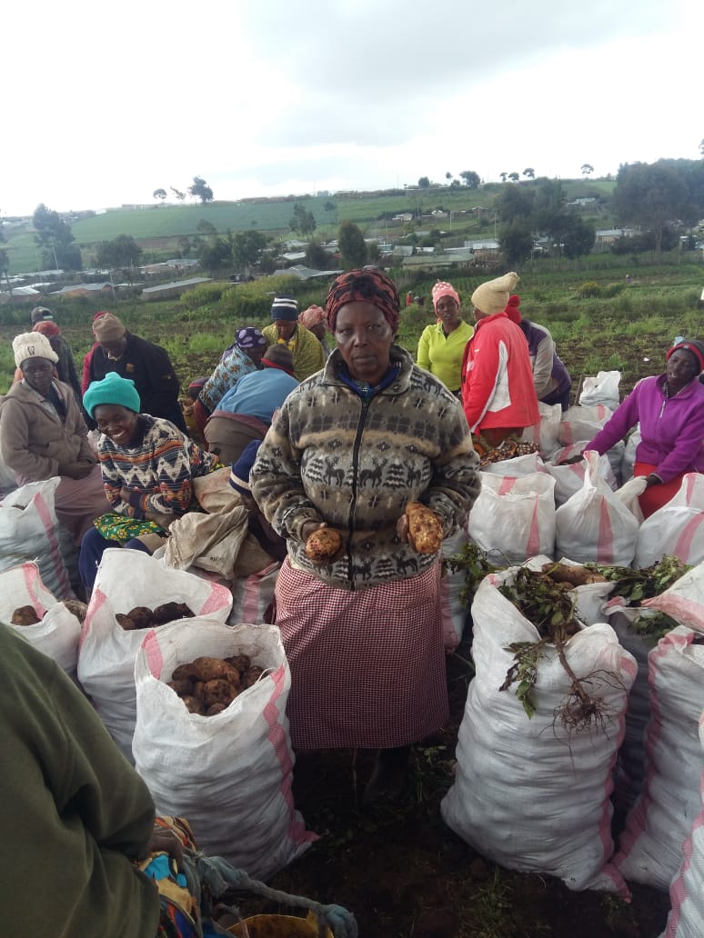 Immaculate Njuthe Maina tweet media