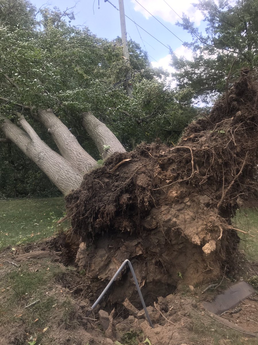 MarissaAlter's tweet photo. WESTPORT: No budging on the power outage numbers in town. Still nearly 97% of town in the dark—more than 12,200 Eversource customers affected. Dozens of roads remain blocked. Some residents have been blocked into their streets since Tuesday afternoon. @News12CT https://t.co/DtzKuRdmKQ