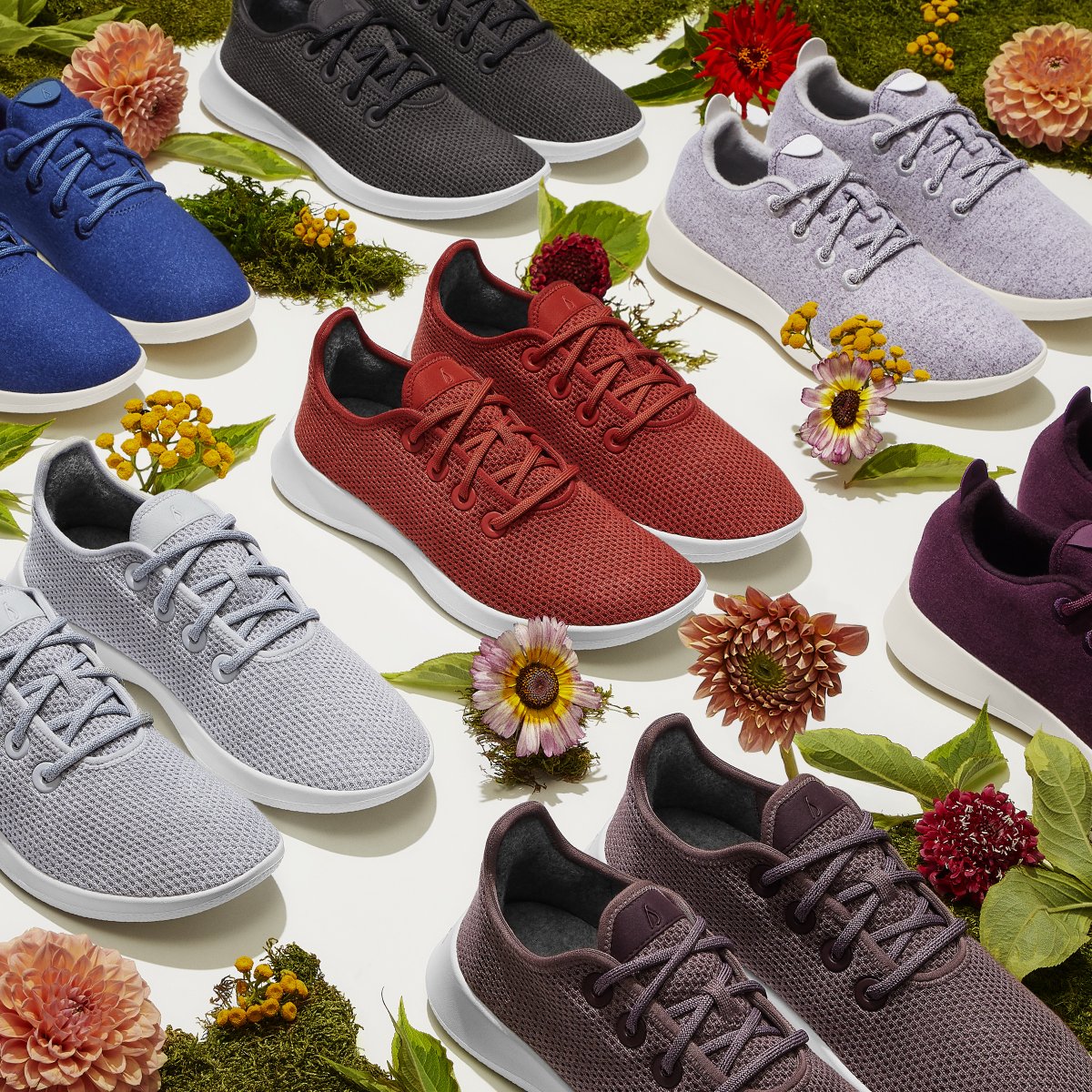 Allbirds's tweet photo. Look what sprouted. Inspired by nature’s palette, here’s a fresh harvest of new Limited Edition hues just in time for the height of summer. Check out the rest of the collection on our site. #weareallbirds https://t.co/FSl0rkoTgq