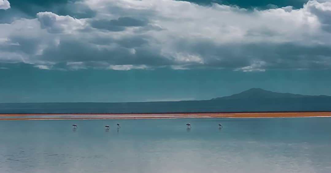 chilednorteasur's tweet photo. San pedro de Atacama
Insta: alfonsovbr
#timelapse #highlights #chiletravel #chile #adventure #naturaleza #naturelover #aventura #nature #chilegram #instachile #landscapes  #turismo #explore #viajemosporchile #instatravel #trekking #like4like #instalike #viajeros #mytravelgram https://t.co/AL9Fumyfn8