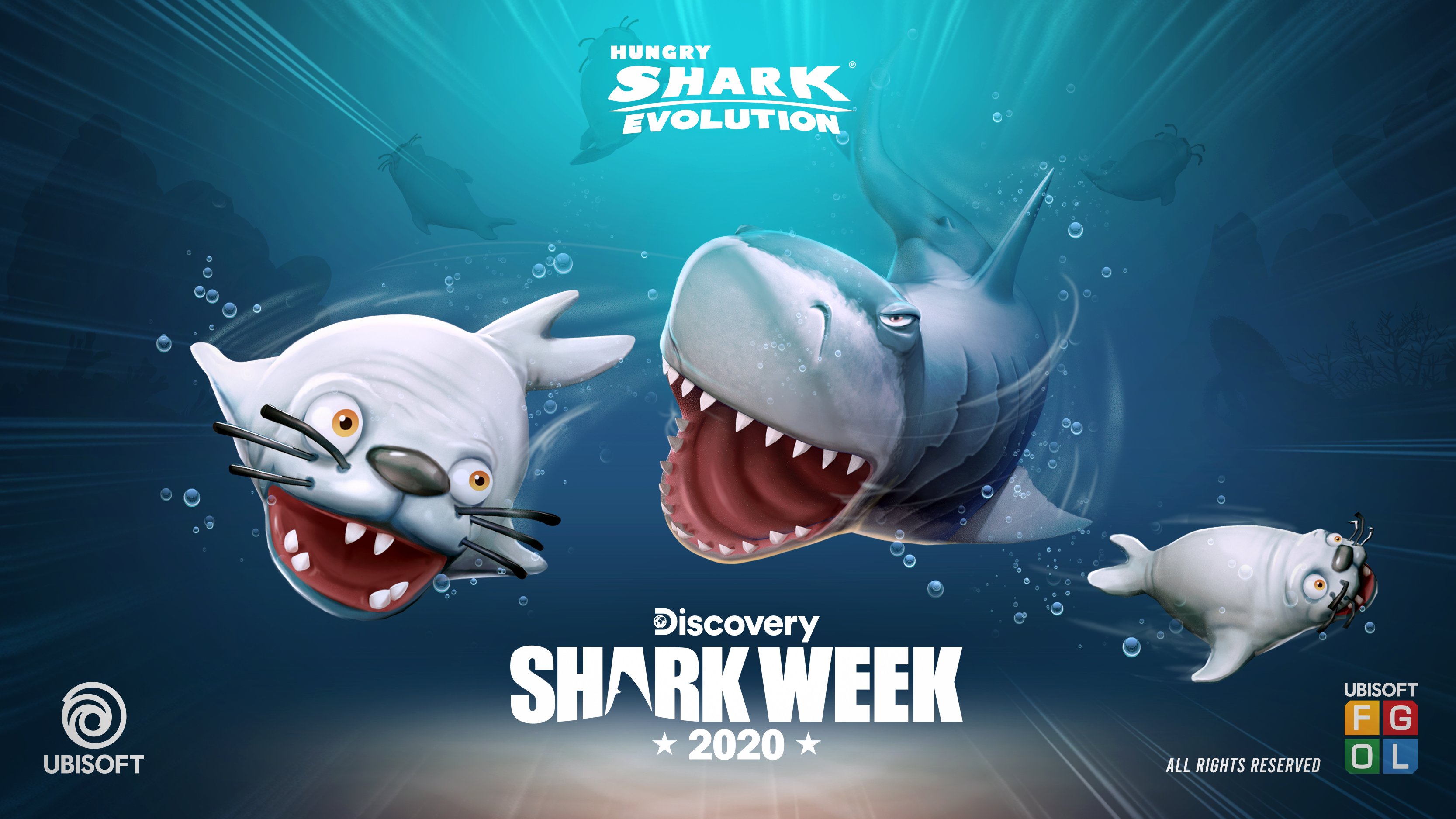 Shark evolution best sale 2