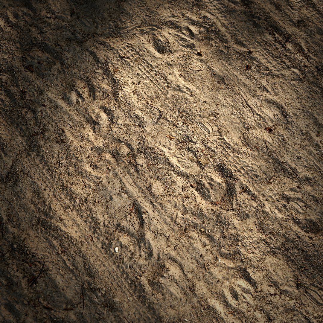 quixeltools's tweet photo. Track attack! 🔍

https://t.co/Ds7lysRvfL

More inbound, with many others being added every single day.

#quixel #megascans #mud #tire #track #treadmarks #tracks #3dsurface #realworld #scandata #photogrammetry #pbr #material #archviz #gamedev #cg #vfx #art https://t.co/hCoe9hkoAM