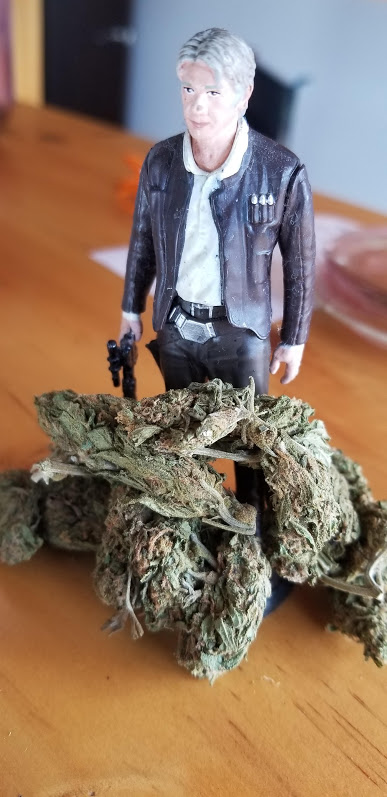 A Smugglers Life

#w420
#stonernation
#instaweed
#smokeweed
#smokeweedeverydayallday
#420photography
#potporn
#nug
#420blazeit
#hightimes
#thc