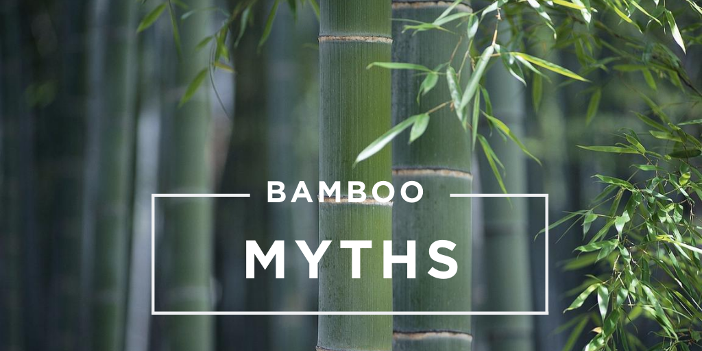 mosogroup's tweet photo. Bamboo is one of the oldest #building #materials we know, meaning that over the years there have been many different experiences, which have led to many different #myths. In this #blog, we discuss the most common bamboo myths. True or false? Find out here: https://t.co/giggJ5eDuX https://t.co/KN6k2F6TAV
