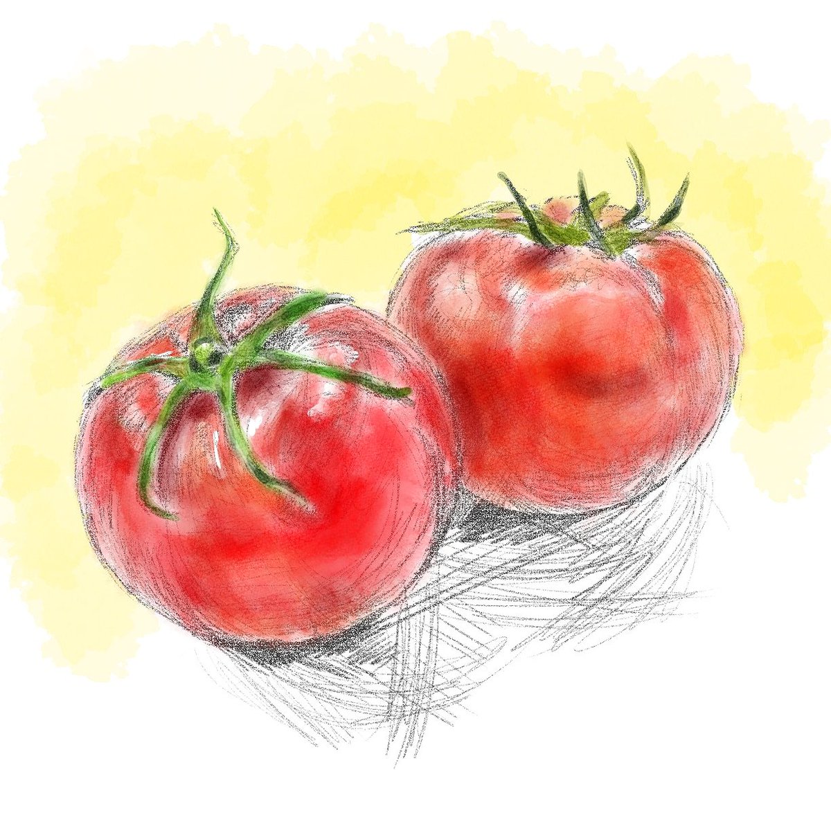 ヤムポム 美味いイラスト トマト イラスト トマト イラスト好きな人と繋がりたい 絵描きさんと繫がりたい 線引者 絵師道 夏野菜 ヤムポム 美味いイラスト トマト イラスト トマト イラスト好きな人と繋がりたい 絵描きさんと繫がりたい 線引者 絵師道 夏野菜