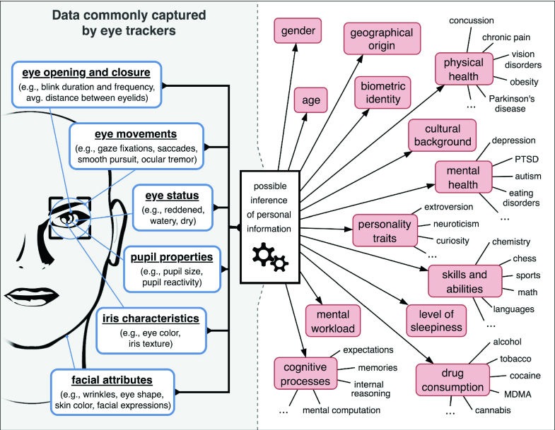 kentbye's tweet photo. Literature review showing how "eye tracking data may implicitly contain information about a user’s biometric identity, gender, age, ethnicity, body weight, personality traits, drug consumption habits, emotional state, skills &amp; abilities, fears, interests, &amp; sexual preferences." https://t.co/16KjrHUbC5