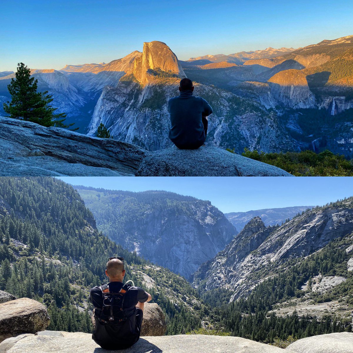 Tom Hodge tweet media