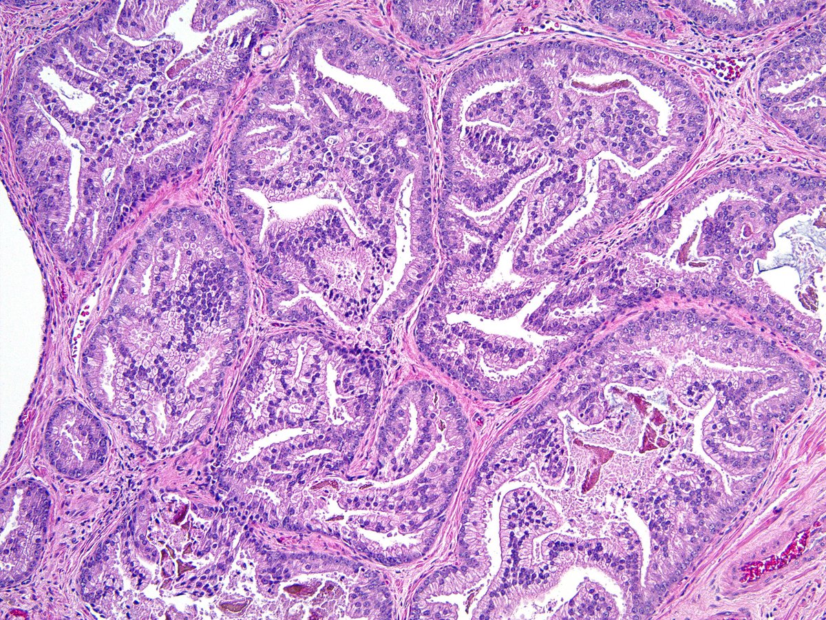 Cleveland Clinic Pathology Residency tweet media