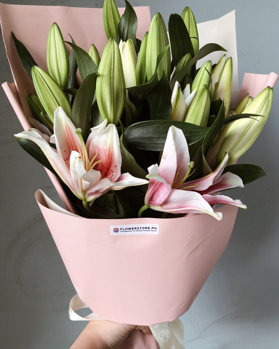 janauncanin's tweet photo. Definitely one of the prettiest blooms I’ve ever seen 🌸 https://t.co/H5Df9ILaJo