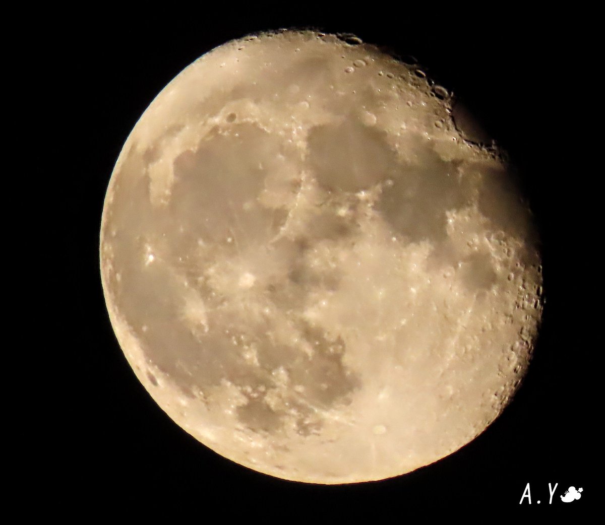 yumeasutw's tweet photo. 今宵も🌔月が綺麗です✨
#薄雲 が掛かる南東の空に #立待月 （月齢16.8）が上っています✨
南の空には #土星 と #木星 が並んで輝いています💫
東の空には、赤い #火星 が上ってきました。

#いまつき #イマツキ #月 #moon
#夜空 #宙の名前
#雲の教室
#ガリレオ衛星
#a2020 #a0806 #a202008 #a2020082 https://t.co/8VQVfEZu47