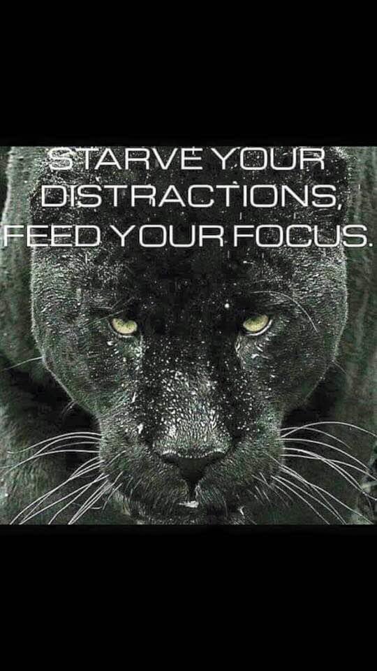 Stay Focused-Stay Strong!! Handle Your Business