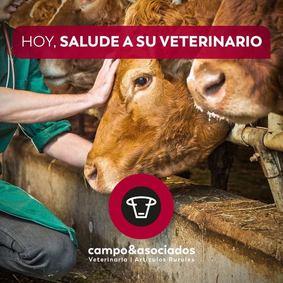Feliz día a todo nuestro equipo de profesionales veterinarios!