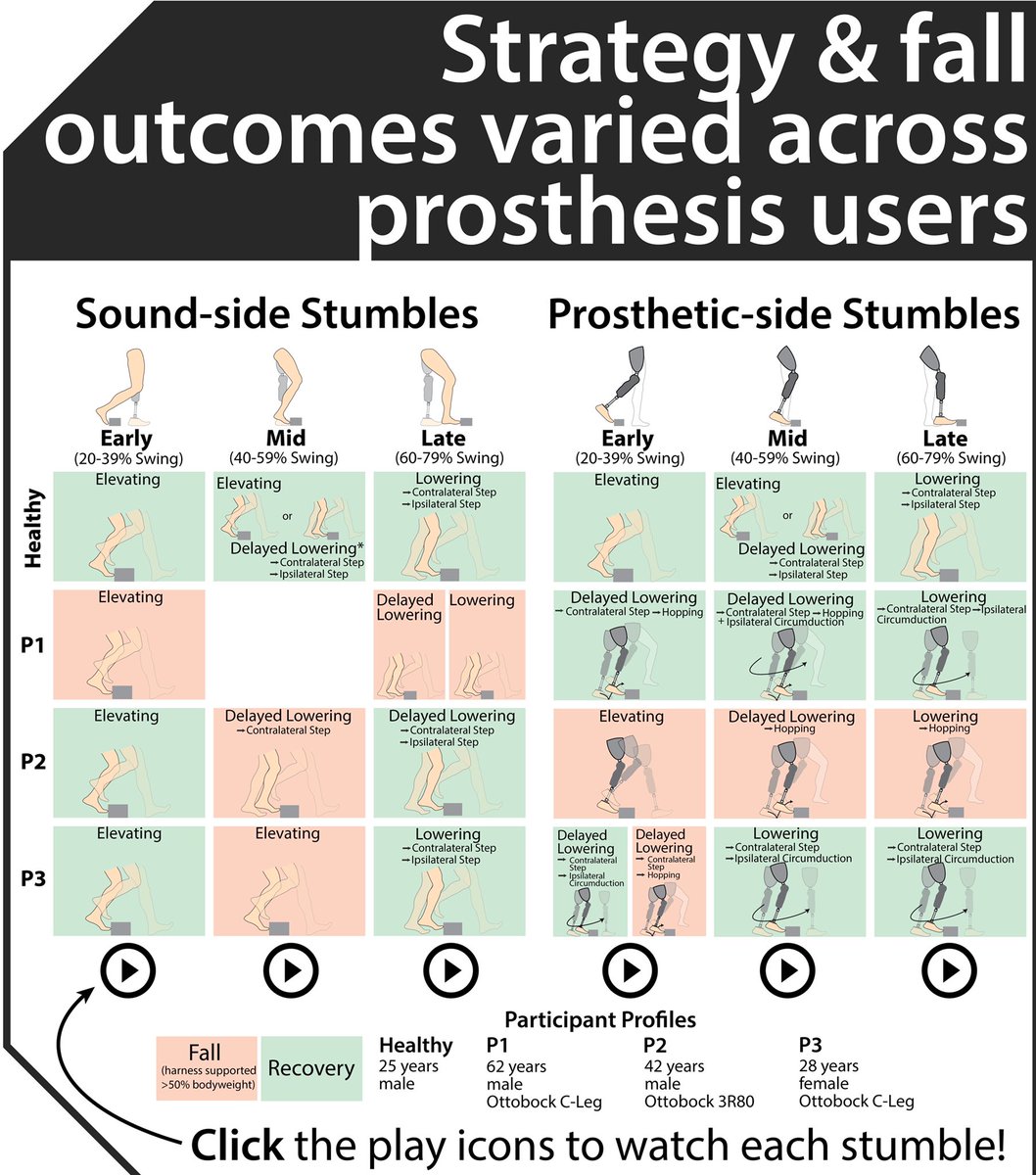 Check out <a href="/EveldMaura/">Maura Eveld</a>'s research &amp; videos on characterizing stumble recovery for transfemoral prosthesis users in Posters-Prosthetics-Orthotics-Robotics (Poster #428) <a href="/shaneking37/">Shane King</a> <a href="/KarlZelik/">Karl Zelik</a> #biomechanics #vASB2020