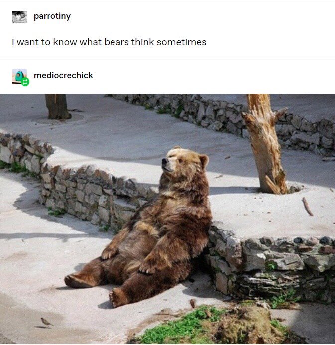 а вот и тамблер