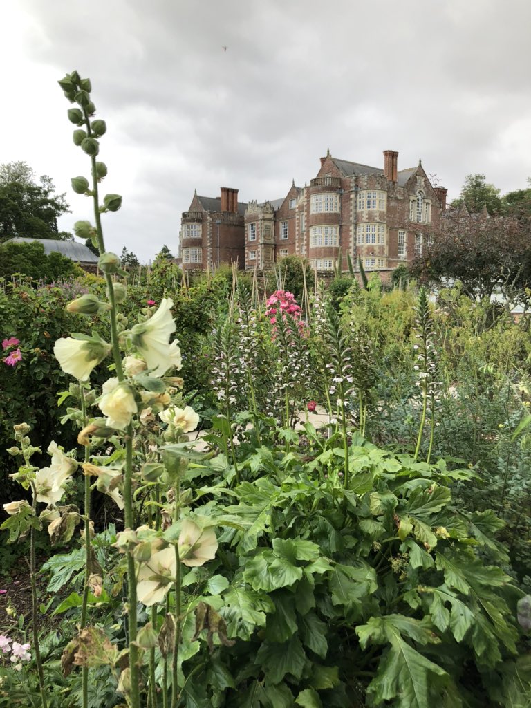 @Sharon_Booth1 Finally made it to @BurtonAgnesHall and it’s just as lovely as you said 🌼🌸🌻