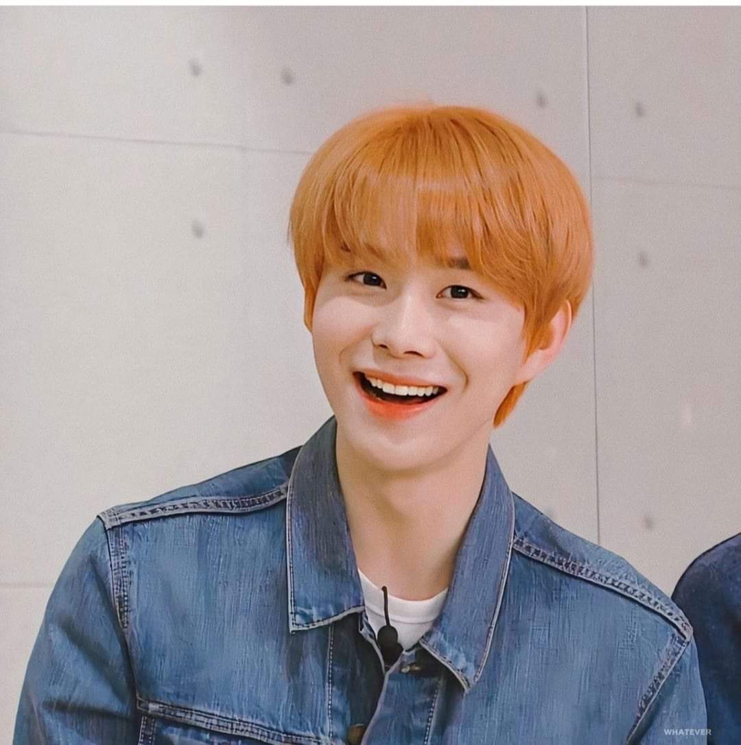 Smstan79286566's tweet photo. Bởi vì JW được thêm vào 127 sau mà lũ akgae tụi mày phũi bỏ sự cố gắng, công sức của anh tao à :)) à mà quên lũ fan akgae tụi m thì làm đéo gì có tư cách mà nói anh tao này kia vì căn bản tụi mày đéo xứng ,ngoài việc lên twitter xàm lònn ra thì đéo làm đc gì cả :)) https://t.co/4EoFmGfyEf