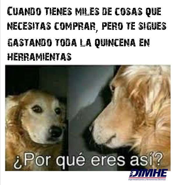 DimheMas's tweet photo. #FelizJueves #meme #memes También les pasa que no saben por que razón apenas es media quincena y ya no tienes dinero 😀👍😆 https://t.co/MWrG0qLuCi