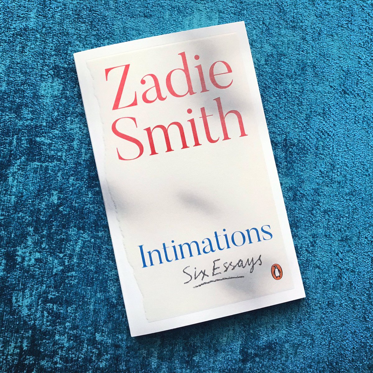 I sat down and inhaled Intimations in a single sitting. Zadie Smith is a tremendous essayist, and this little book was a joy to read.