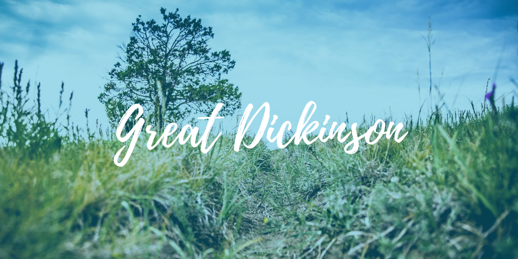 ComprobataPhoto's tweet photo. Dickinson through my lens. #Ageto #Blog #DickinsonSD

Read | https://t.co/3UwADJ4sCw https://t.co/CsMEfi1wfl