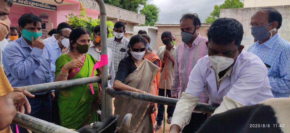 dvahombn's tweet photo. The Secretary to Government, Animal Husbandry, Dairy Development and Fisheries Department, TS, Smt.Anita Rajendra,IAS has participated in Animal Health Camp at Madigatla (V), Bhoothpur (M) and launched second phase NAIP A.I at Kodur (V), Mahabubnagar Rural (M)@Collector_MBNR https://t.co/EvqVXl1wYz