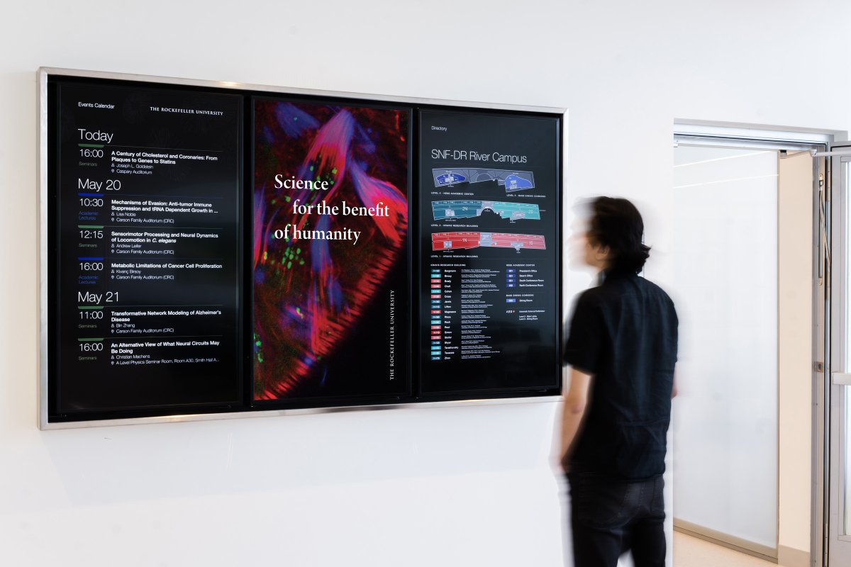 Digital design, a static signage overhaul and actual biomedical imagery help promote lectures, symposia and wayfinding at New York’s Rockefeller University. bit.ly/2Pr2dEO

#digitalsignage #avtweeps #DSConnection <a href="/cgpartners/">C&G Partners</a> <a href="/BrightSign/">BrightSign</a> <a href="/RockefellerUniv/">Rockefeller University</a>