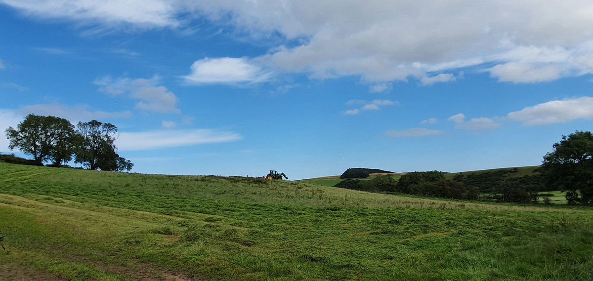 LynseyBrunton's tweet photo. Busy busy...starting our silage and hay today... #farm24 • #hillfarm #scotfarm #farmlife #farm #scotfarm #scottishfarmer #bracken #scottishhillfarm #lammermuirs #lovewhereilive #scotland #visitScotland #scotlandisnow https://t.co/0ORf9wgvmf