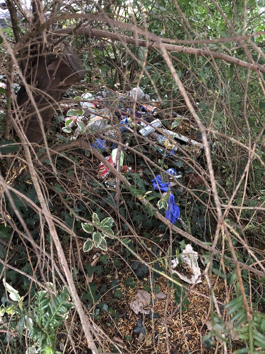 BenLegah's tweet photo. @nxwestmidlands hi can you tell your number 16 bus drivers not to leave this mess outside my front garden. I want this pick up and futher action to be taken. There is even their used gloves which they are dispoving of. This has been on going for years now. https://t.co/KifmgSwWMZ