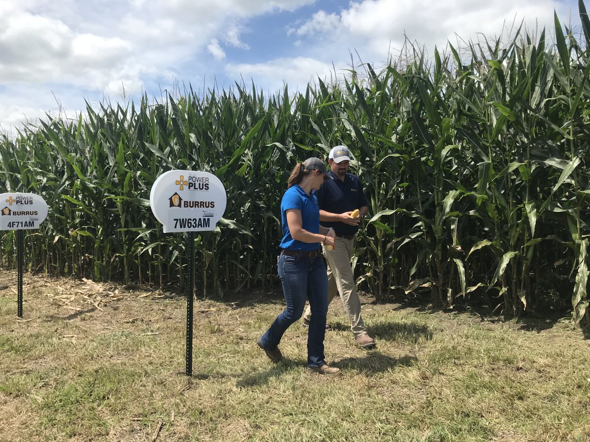 BurrusSeed's tweet photo. Morgan and @harder_dana walking Dobson Farms' plot in Lafayette Co., MO - #BurrusSeed #AlwaysGrowing https://t.co/qVWNoIYYE4