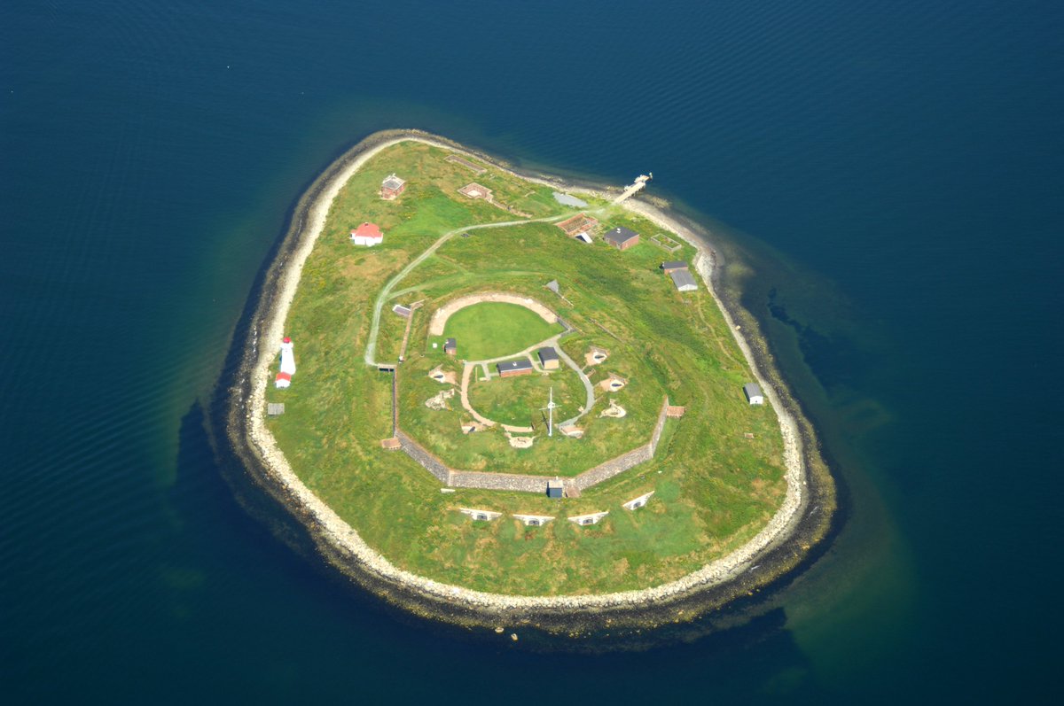 murphyshalifax tweet media