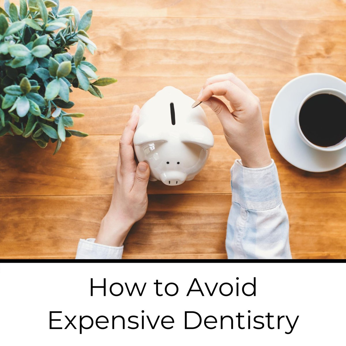 Does your smile look healthy? Teeth are valuable!

 Doesn’t it make sense to protect such a valuable asset?

drandreastevens.com/blog/how-to-av…

#DrAndreaStevensDentistry #OttawaDentist #OttawaON #OralHealth #OralHygiene #ToothDecay #GumDisease