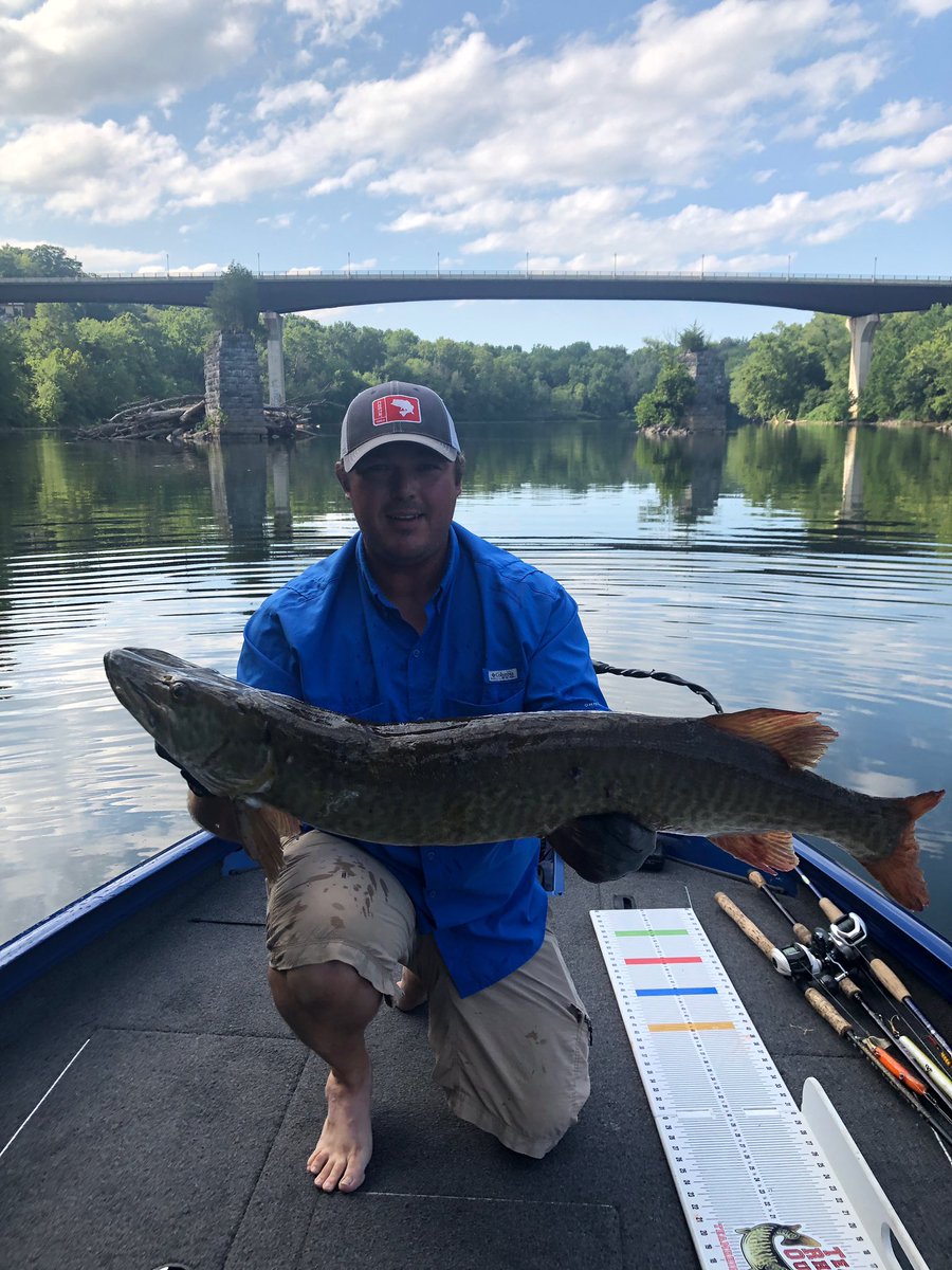 SouthernSkyOD's tweet photo. First #musky in my new boat last night. Recent rain and cool nights gave us some lower water temps to chase these awesome fish. #Lowe_Boats #TROFishing #Mercury #muskie #fishing #Shimano #stcroixrods #frabill https://t.co/Kzc1MFMmCp