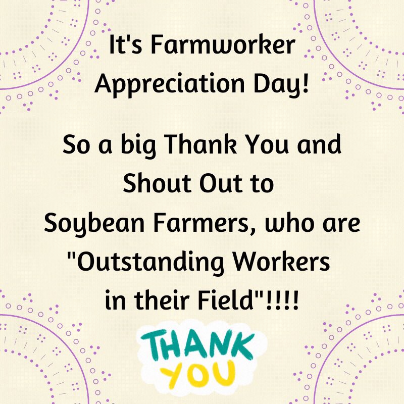 jamcatcandles's tweet photo. The award for “The Most Outstanding Workers in their Field” goes to...Soybean Farmers! 🏆👩‍🌾👩🏻‍🌾Thanks to all the Soybean Farmers and all of their farming colleagues for all of your hard work, long hours and sacrifices! 🌾💜🕯#jamcatcandles #soybeans #soybeanharvest #soybeanfarmer https://t.co/Kly1YwmeCi