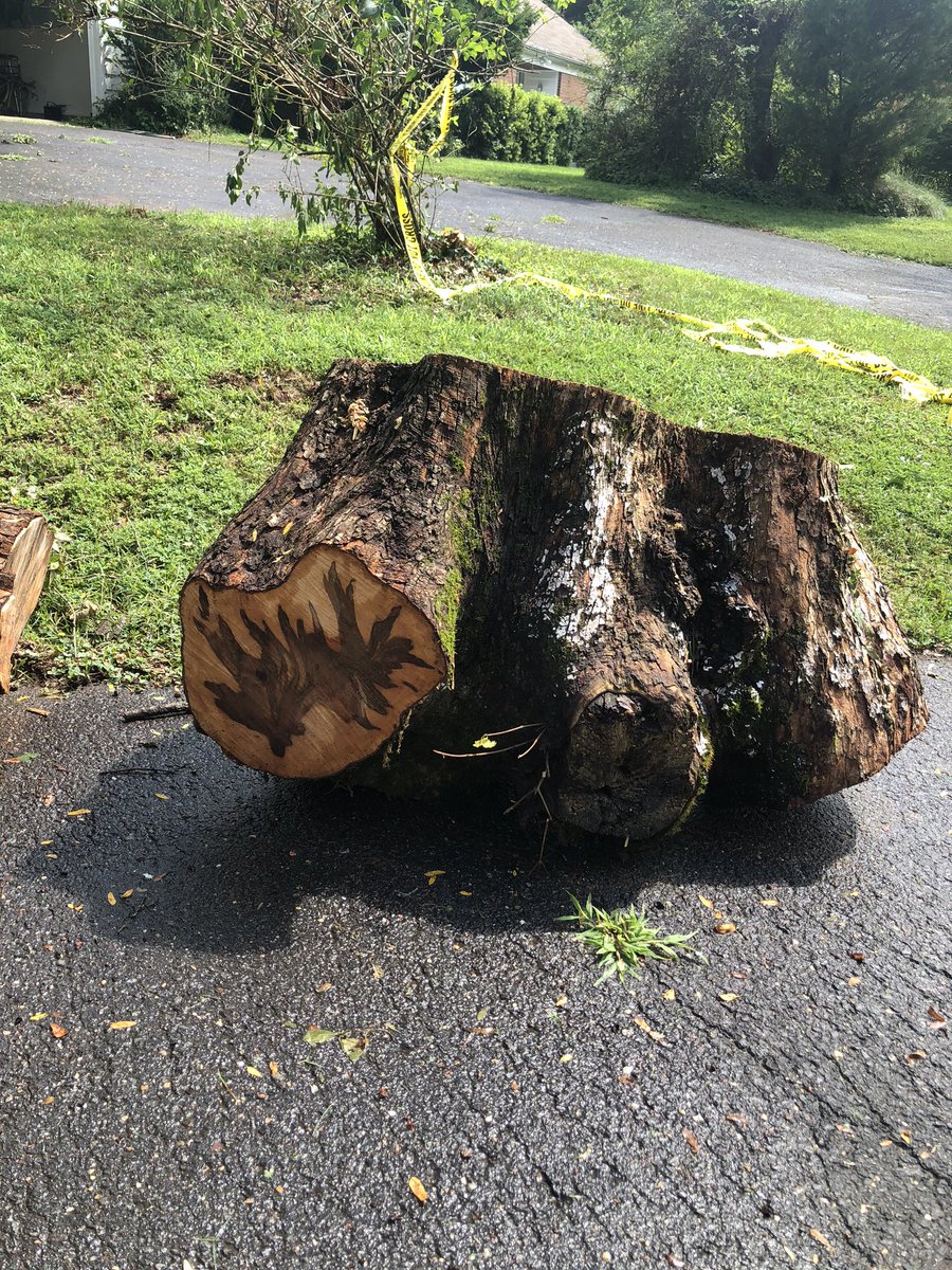 Betsy Levy Paluck tweet media