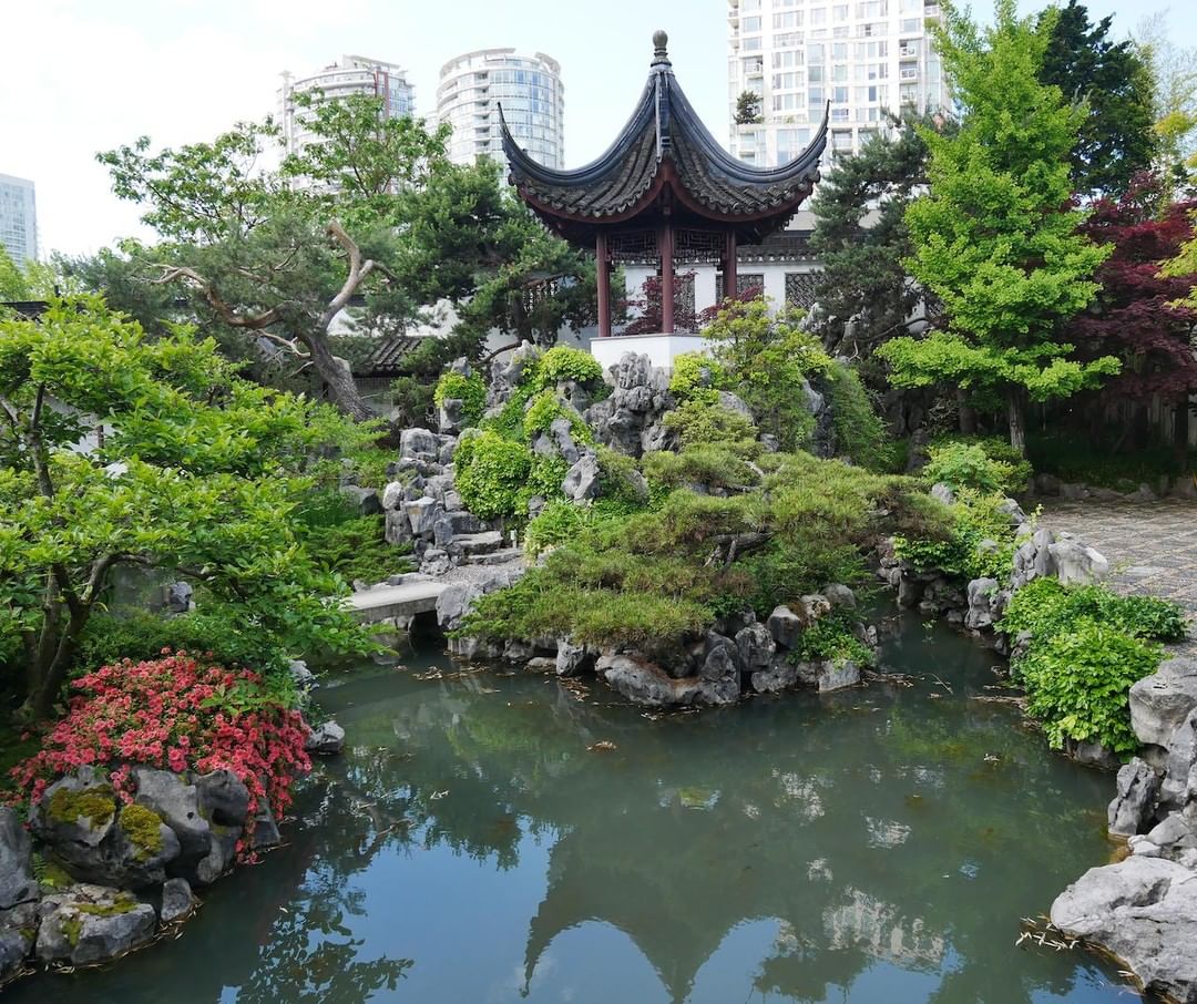 What includes 3 types of picturesque garden & is open for business?! It's the Dr. Sun Yat-Sen Classical Chinese Garden 😍
 
_________________________________
(📷 @vangarden)
 
#vancityscape #vancouverviews #beautifulbc #beautifuldestinations #mustbevancouver