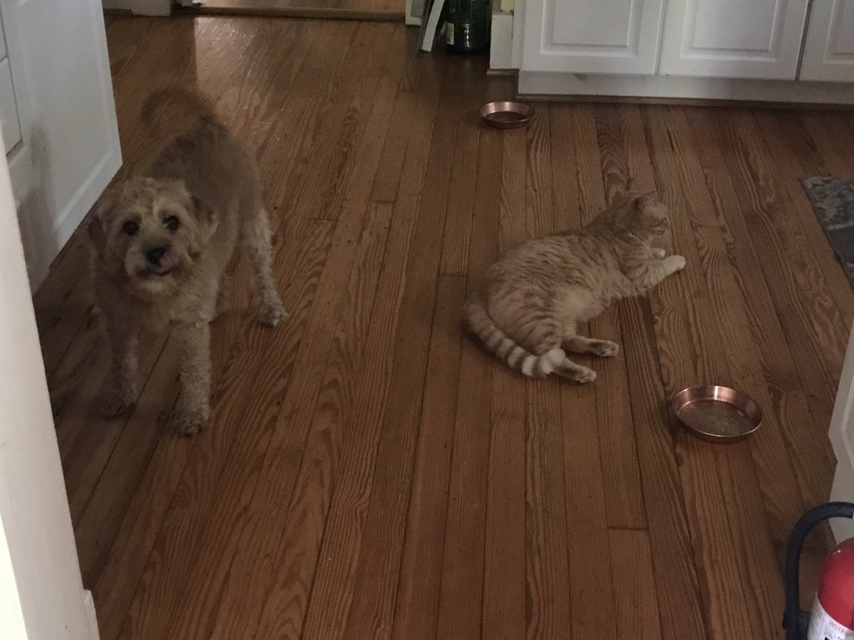 Patrick Skinner Debriefed Sweetdog On The Events Of The Day She S My Rock Told Her About The Shootings And The Heat And The Court And The Jail And Warrants And