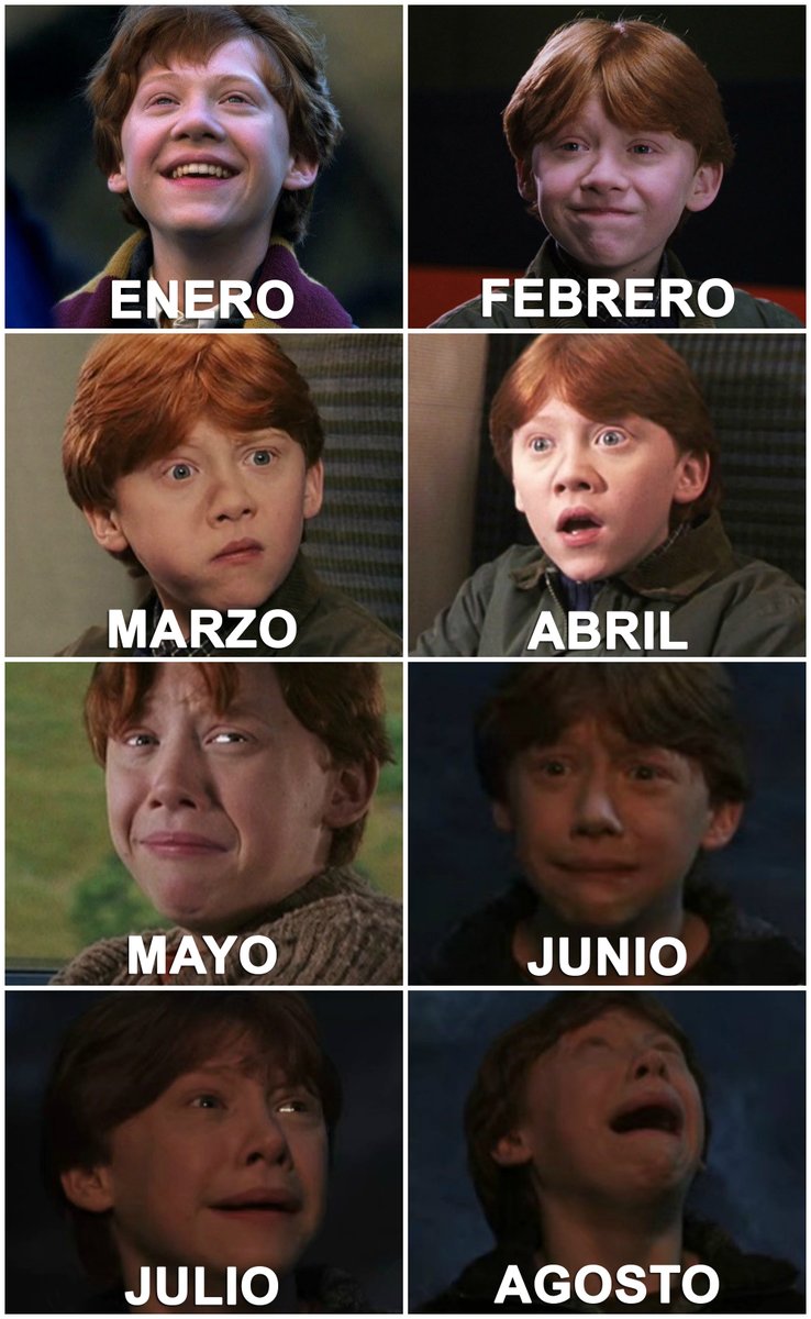 EiProfeta's tweet photo. Lo que llevamos de 2020 resumido por Ron Weasley. https://t.co/SNRz6P5jSg