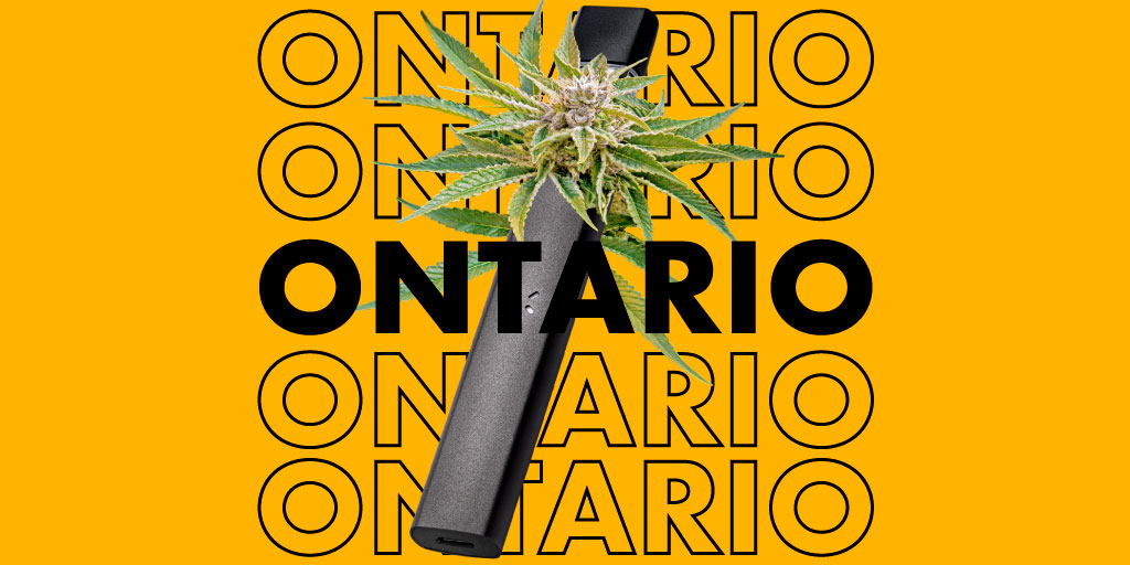 7ACRESmj's tweet photo. Indica (Sensi Star) and Sativa (Jack Haze) PAX Pods are available in Ontario. #SeshToGo #PAXLife #TasteTheTerps 

Taste The Terps today: https://t.co/rwUoxbyIo3 https://t.co/U37fGGuBEs