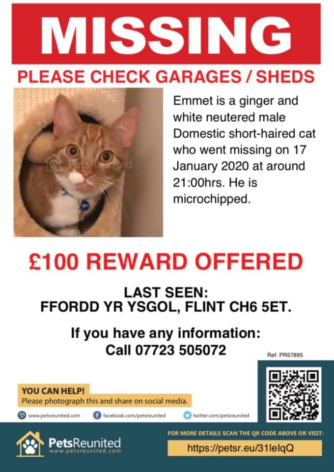 gelert01's tweet photo. #EMMET missing 17/01/2020 #Flint #CH6 #5ET last seen #FforddYrYsgol 

#IamMissed #IamChipped 

@CatsMissing @AlanDaffern @janice_adams3 @juliagarland73 @MissingPetsGB @rosiedoc666 @MoggiesR https://t.co/RL2umLg78x