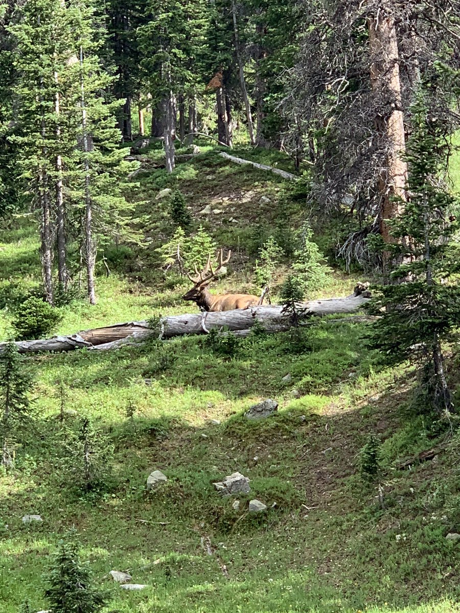 Colorado was a blast! Definitely need to go back! Also.. made another $200 in the market while having horrible service most the time haha