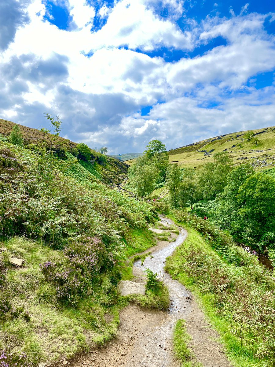 HelenSan07's tweet photo. Lovely walk in Bronte Country 🌸💚🌺 #bronte #brontefalls #Yorkshire #nature #photography https://t.co/kEKYhJCDp0