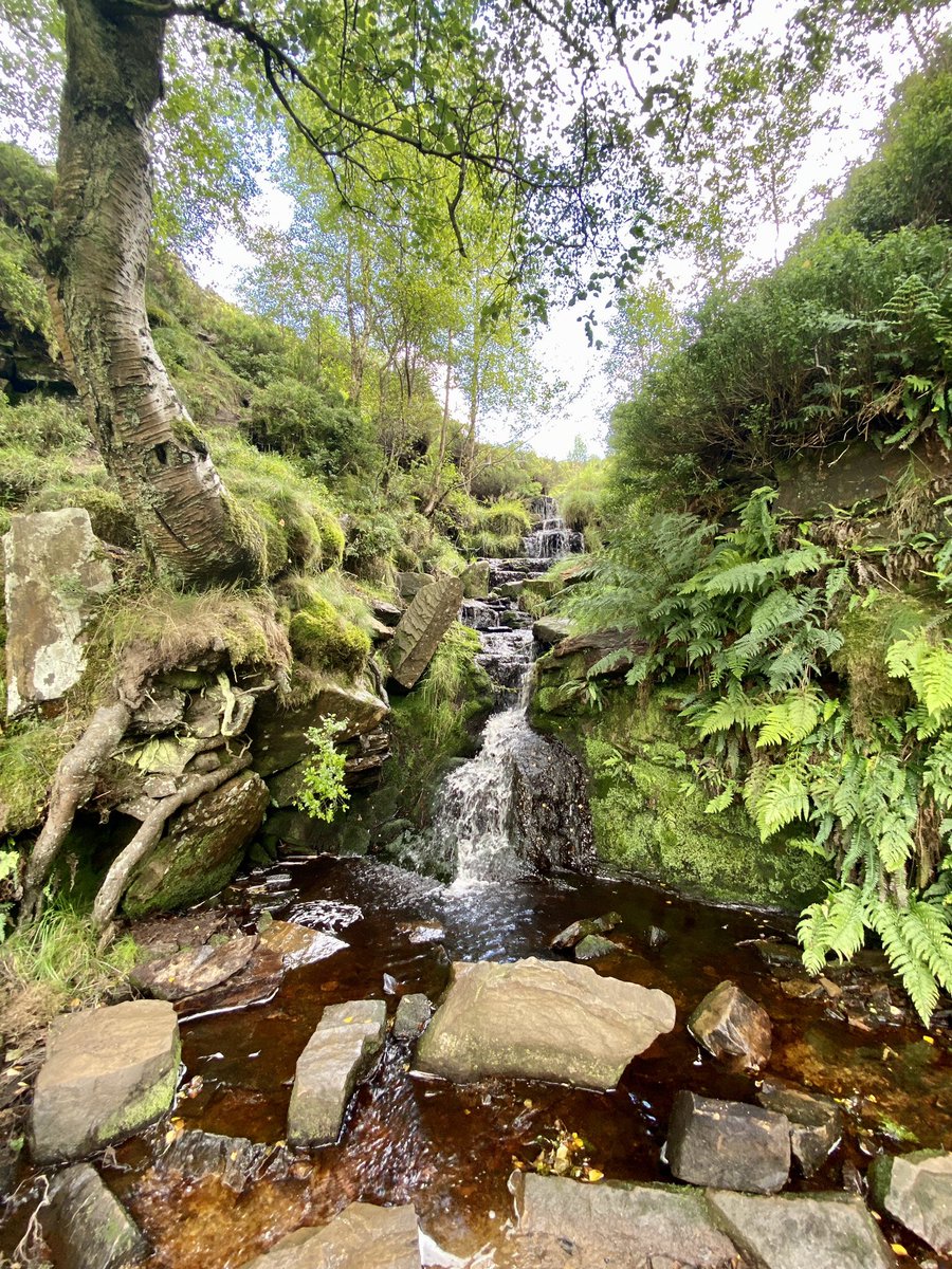 HelenSan07's tweet photo. Lovely walk in Bronte Country 🌸💚🌺 #bronte #brontefalls #Yorkshire #nature #photography https://t.co/kEKYhJCDp0