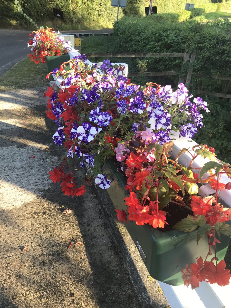 DerekHambling's tweet photo. All flower troughs on the village bridge watered and tanks full ready for the hot weather over the next few days. #greensteadgreen #summer #flowers #lovewhereilive #villagelife #halsteaddistrict https://t.co/YZ8BPGI8y1